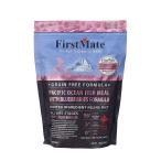 ファーストメイトキャットフード　パシフィックオーシャンフィッシュ　ウィズ ブルーベリー 1kg【キャットフード】【正規品】