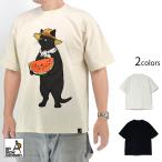 USA/C スイカ猫ゆったりTEE go slow caravan 341926 ゴースローキャラバン ネコ アウトドア オーバーサイズ ユニセックス