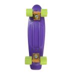 PENNY skateboard(pe колено скейтборд )22inch CLASSICS FENDER