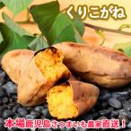 ショッピングさつまいも さつまいも　くりこがね5kg