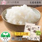 【新米】農家直売 魚沼産コシヒカリ 無洗米 4kg(2kg×2袋)令和7年 魚沼市推奨ブランド米認定米