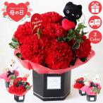 母の日 2025 フラワーアレンジ カーネーション プレゼント ギフト 花 大人気 黒 猫 犬 茶色 白 ボックス おすすめ 喜ばれる 笑顔 かわいい カード 送料無料