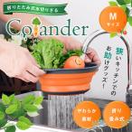 ザル 折りたたみ 「Mサイズ 全4色」 