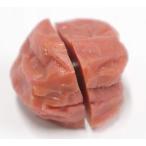  twin магнит память подставка маринованные сливы .