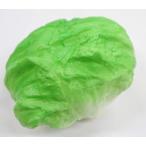  lettuce .. интерьер дисплей 