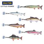  Dulton Y-063 little fi She's 