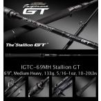 エバーグリーン カレイド インスピラーレ IGTC-69MH スタリオンＧＴ