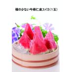 (3111)常【種の少ない今帰仁産スイカ(1玉)】(送料込)*他商品との同梱不可*お申込み〜お届までの所要日数 12月1日から出荷開始≪お歳暮・冬ギフト≫