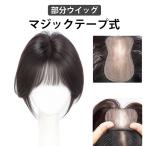 ピンなし ウィッグ 部分ウイッグ ピ