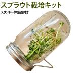 送料無料ブロッコリースプラウト栽培...