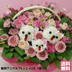 動物の親子【生花のカーネーションで出来てます】アレンジメント 花 キャラクター プレゼント 動物病院開店祝い 開店祝 移転祝 御祝