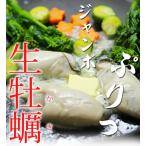 ショッピング牡蠣 広島県産 冷凍生かき(加熱用) 牡蠣特大2Lサイズ1ｋｇ（解凍850ｇ）個別凍結で使いやすい ※ご自宅用なのでのし対応できません。