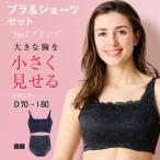 ブラジャー ショーツ セット 大きいサイズ 小さく見せるブラ さらし 上下 レディース 下着 女性 脇肉補正 脇高 40代 50代 ワイヤー入り 着痩せ gカップ H I