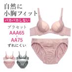 ブラジャー ショーツ セット 上下 