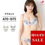 下着女性 上下セット ブラジャー ショーツセット ブラショーツセット ランジェリー ブラセット 下着 レディース下着上下セット レディス