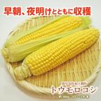 [6 месяц 20 день передний и задний (до и после) отправка предположительно ][ максимальный сахар раз 20 раз ] кукуруза ночь открытие наряду с .. сырой тоже еда .... прохладный рейс . доставка 4kg 10~14шт.@. утро .. Gold Rush 