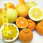 ショッピングデコポン 今が旬の柑橘勢揃い！四国産の柑橘詰め合わせ約5kg