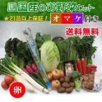  производство прямой .... тщательно отобранный овощи. набор 21 товар + яйцо 10 шт. комплект + секрет. с подарком бесплатная доставка 