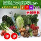  производство прямой .... тщательно отобранный овощи. набор 21 товар + яйцо 20 шт. комплект + секрет. с подарком бесплатная доставка 