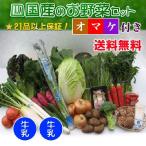  производство прямой .... тщательно отобранный овощи. набор 21 товар + молоко 2 шт. комплект + секрет. с подарком бесплатная доставка 