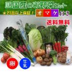  производство прямой .... тщательно отобранный овощи. набор 21 товар + молоко 1 шт. + яйцо 10 шт. комплект + секрет. с подарком бесплатная доставка 