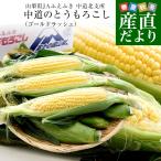 山梨県より産地直送 JAふえふき中道北支所 とうもろこし(ゴールドラッシュ) 約2.5キロ2Lサイズ(6本入) 送料無料 クール便