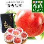 ショッピングお中元 送料無料 山梨県より産地直送　山梨JAふえふき中道支所　青秀品桃  約1.5キロ（４玉から６玉）送料無料　もも　桃、モモ、ピーチ　お中元　ギフト