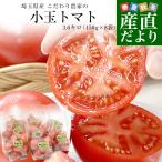  Saitama префектура производство предубеждение сельское хозяйство дом. маленький шар помидор примерно 3.6 kilo ( примерно 450g×8 пакет входить ) бесплатная доставка весна помидор ... рынок отправка 
