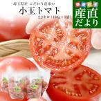  Saitama префектура производство предубеждение сельское хозяйство дом. маленький шар помидор примерно 2.2 kilo ( примерно 450g×5 пакет входить ) бесплатная доставка весна помидор ... рынок отправка 