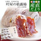 [ подарок по случаю конца года подарок ] Yamanashi префектура .. прямая поставка от производителя Yamanashi префектура юг Alps город . магазин садоводство место .. хурма 12 шар входить несессер (1 шар 48g и больше ×12 входить ) бесплатная доставка .. хурма . хурма 