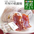 [ подарок по случаю конца года подарок ] Yamanashi префектура .. прямая поставка от производителя Yamanashi префектура юг Alps город . магазин садоводство место .. хурма 6 шар входить несессер (1 шар 48g и больше ×6 входить ) бесплатная доставка .. хурма . хурма 