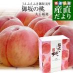 山梨県より産地直送 JAふえふき御坂支所 御坂の桃 超大玉 青秀品 約2キロ(5玉から6玉) 送料無料 もも ピーチ モモ お中元 ギフト