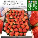 【2023年発送】栃木県より産地直送 渡辺さんちのTちゃんいちご(とちあいか)大盛り1.2キロ(Lから特大:不揃い) 苺 イチゴ ストロベリー 送料無料 ※クール便発送