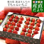 栃木県より産地直送 渡辺さんちのTちゃんいちご(とちあいか)　350g以上×2パック3Lサイズ(9粒から15粒×2P) 苺 イチゴ いちご 送料無料 ※クール便