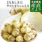 熊本県より産地直送 JAあしきた サラたまちゃん LAサイズ 約5キロ (15玉前後) 送料無料 玉葱 タマネギ サラ玉 さらたま さらタマ