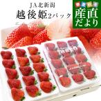 新潟県より産地直送 北新潟 越後姫(えちごひめ) 880gから940g化粧箱 (24粒から30粒入り) 送料無料 ゆりカーゴタイプ イチゴ 苺 いちご ※クール便発送