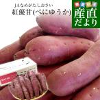 ショッピングさつまいも 茨城県より産地直送 JAなめがたしおさい さつまいも「紅優甘 (べにゆうか)」 Mサイズ 5キロ(18本前後) 送料無料 さつま芋 サツマイモ 薩摩芋