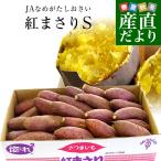 ショッピングさつまいも 茨城県より産地直送 JAなめがた さつまいも「紅まさり(べにまさり)」 Sサイズ 約5キロ(25本から30本前後） 送料無料 さつま芋 サツマイモ 薩摩芋