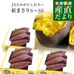 ショッピングさつまいも 茨城県より産地直送 JAなめがた さつまいも「紅まさり(べにまさり)」 SからSSサイズ 約1キロ×3箱セット 送料無料 さつま芋 サツマイモ 薩摩芋