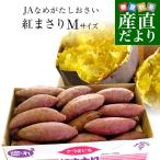 茨城県より産地直送 JAなめがた さつまいも「紅まさり(べにまさり)」 Mサイズ 約5キロ(18本前後） 送料無料 さつま芋 サツマイモ 薩摩芋