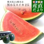  Kumamoto префектура .. прямая поставка от производителя JA Kumamoto город чёрный маленький шар арбуз (.....BONBON) 3L размер примерно 5 kilo (2.5 kilo и больше ×2 шар ) запад ....