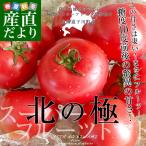 送料無料 北海道より産地直送 下川町のスーパーフルーツトマト <北の極> 秀品 約800g LからS(8から15玉)