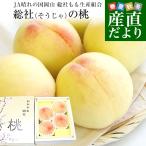 岡山県から産地直送 JA晴れの国岡山 総社もも生産組合 総社(そうじゃ)の桃 青秀以上 約1キロ (3玉から5玉) 送料無料 モモ もも ギフト 夏ギフト 爆買