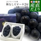  Yamanashi префектура .. прямая поставка от производителя JA фрукты Yamanashi вид нет pio-ne превосходящий товар большой .2. ввод несессер ( примерно 550g ×2.) бесплатная доставка .. виноград подарок лето подарок подарок на Bon Festival . средний изначальный 