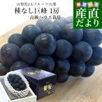  Yamanashi префектура .. прямая поставка от производителя JA фрукты Yamanashi вид нет .. превосходящий товар большой .1. ввод несессер ( примерно 550g×1.) бесплатная доставка .. виноград подарок лето подарок подарок на Bon Festival . средний изначальный 