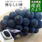  Yamanashi префектура .. прямая поставка от производителя JA фрукты Yamanashi вид нет .. превосходящий товар большой .1. ввод несессер ( примерно 550g×1.) бесплатная доставка .. виноград 