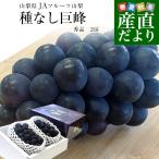  Yamanashi префектура .. прямая поставка от производителя JA фрукты Yamanashi вид нет .. превосходящий товар большой .2. ввод несессер ( примерно 550g×2.) бесплатная доставка .. виноград 