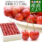  Yamagata префектура из прямая поставка от производителя JA... запад . гора [ вишня Sato .] подарок для большой шар L размер 500g несессер sa Clan bo Sakura персик Sato . подарок подарок на Bon Festival 