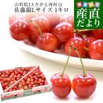  Yamagata из прямая поставка от производителя Yamagata префектура JA... запад . гора [ вишня Sato .] maru превосходящий товар L размер 1 kilo sa Clan bo Sakura персик Sato . подарок подарок на Bon Festival 