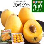  Nagasaki prefecture .. direct delivery from producing area JA Nagasaki ... Nagasaki loquat 500g vanity case 3L from L size (8 sphere from 12 sphere ) free shipping .. Nagasaki biwa. tree loquat 